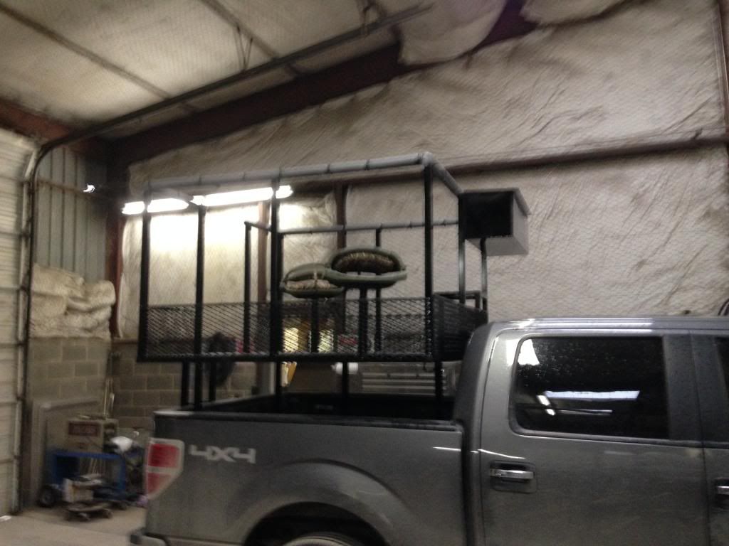 Varmint hunting High Racks Texas Hunting Forum